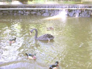 f0200342_0172844.jpg