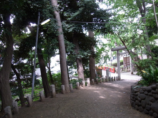 a0175545_15314412.jpg