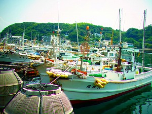c0171349_16114539.jpg