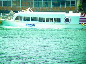 c0171349_16125840.jpg