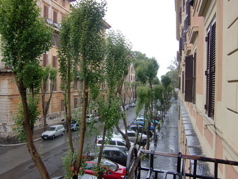 c0206352_5413833.jpg