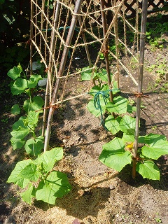 e0004756_20593233.jpg