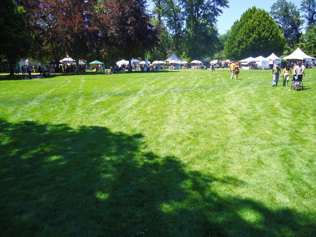 d0172957_12154149.jpg