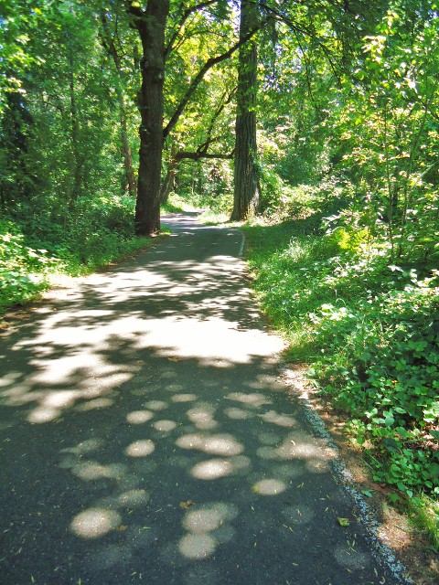 d0172957_13334421.jpg
