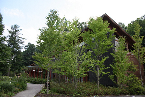 c0107861_1802477.jpg