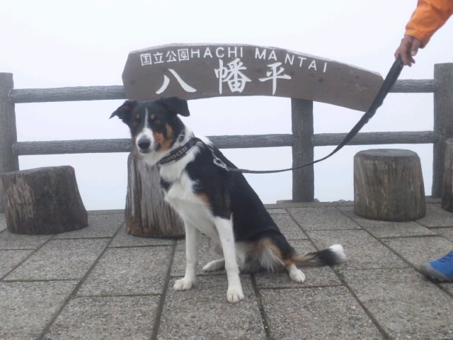 d0093462_1533960.jpg