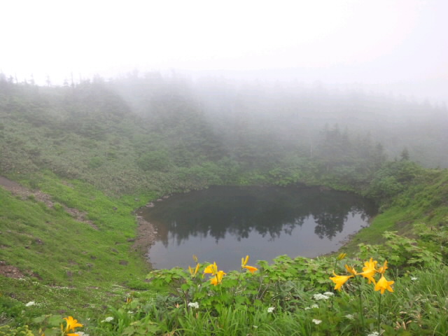 d0093462_1534048.jpg