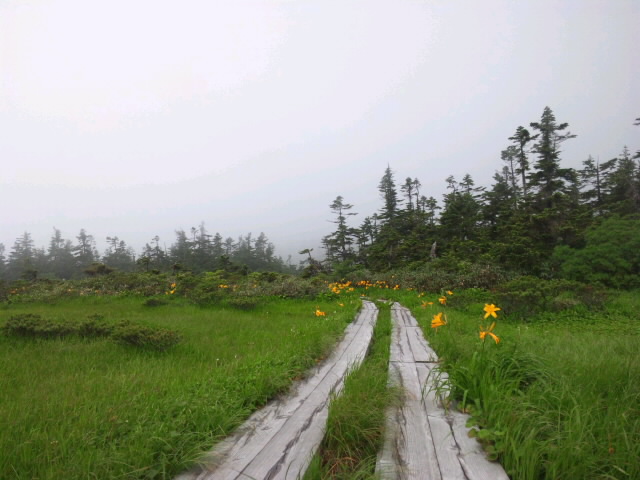 d0093462_153408.jpg