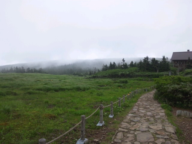 d0093462_1534087.jpg