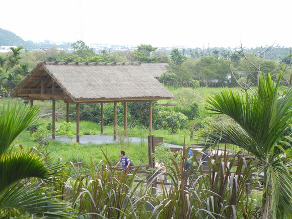 d0057071_1452334.jpg