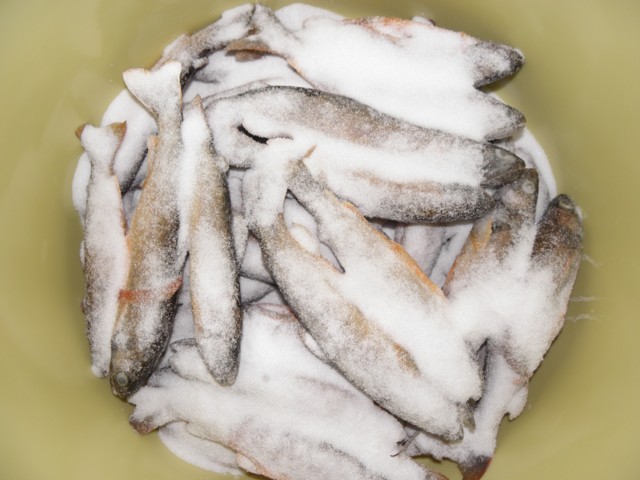 d0134473_1525639.jpg