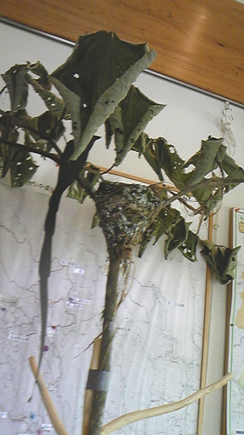 e0118274_22571843.jpg