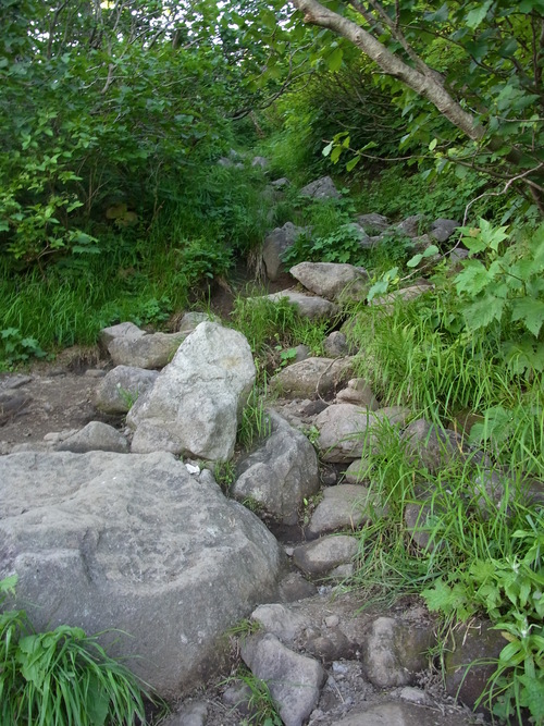 f0130376_19351939.jpg
