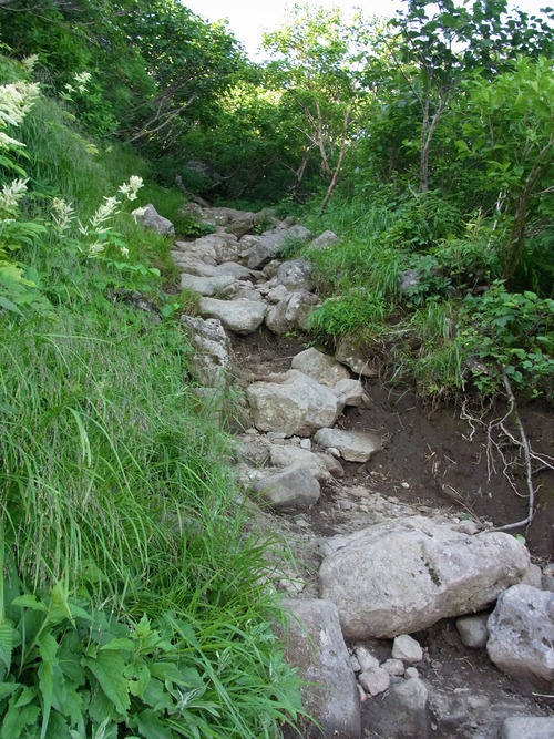 f0130376_19352893.jpg