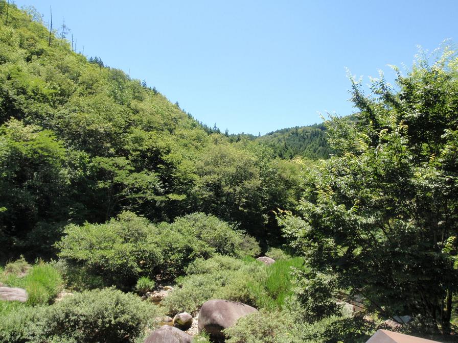 d0251583_1418279.jpg