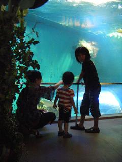 f0149083_21444236.jpg