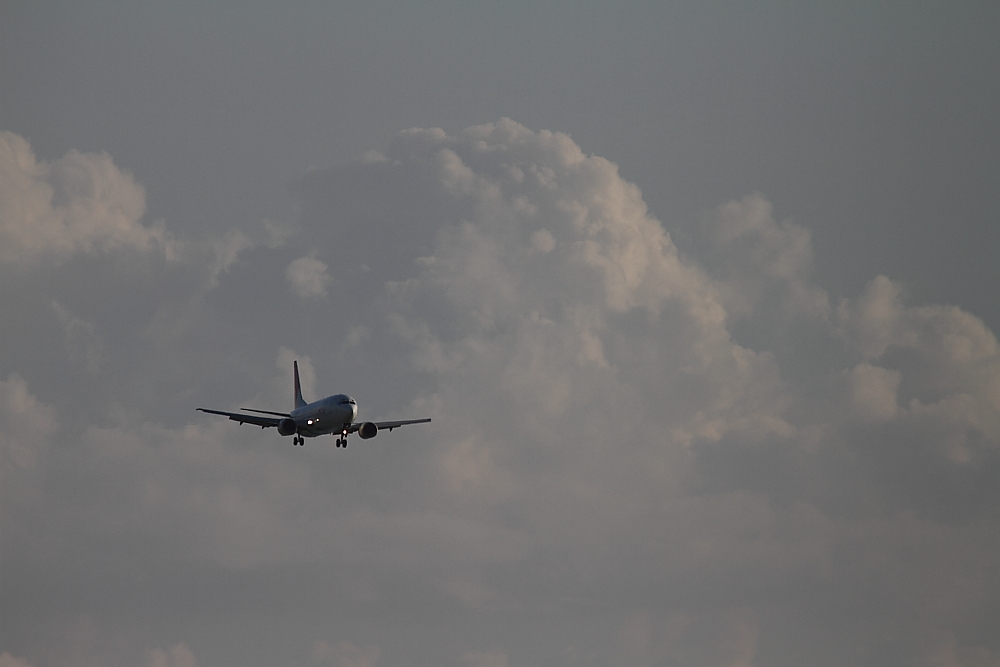 e0204891_1432525.jpg