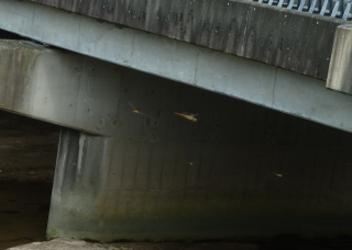 f0166694_1932258.jpg
