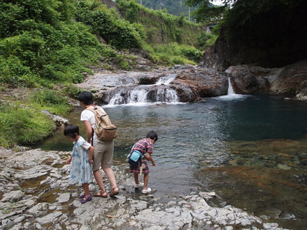 f0154002_87084.jpg