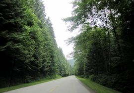 b0051109_8581397.jpg
