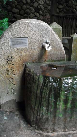 e0177509_2212162.jpg