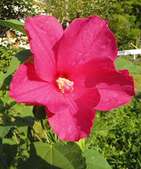 f0231709_7444925.jpg