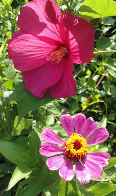 f0231709_749115.jpg