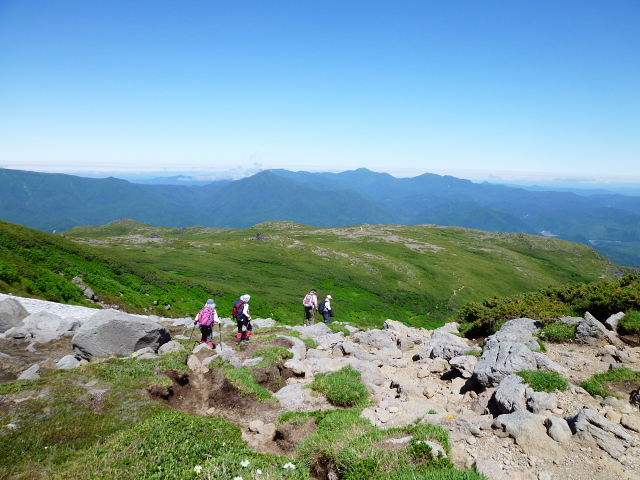 d0170615_22241349.jpg