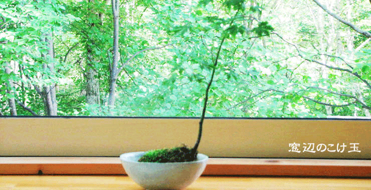 f0086827_23251348.gif