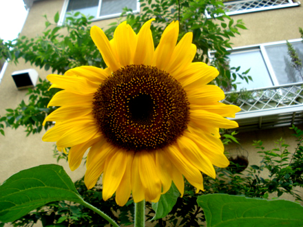 e0224632_2305794.jpg
