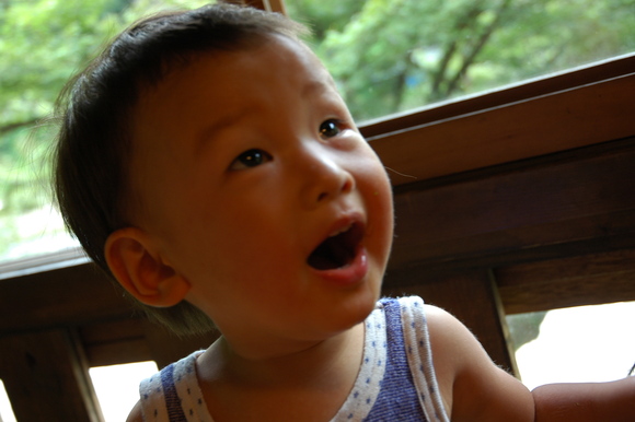 d0241833_1826218.jpg