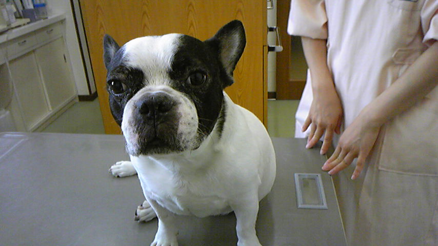 e0008833_14481410.jpg