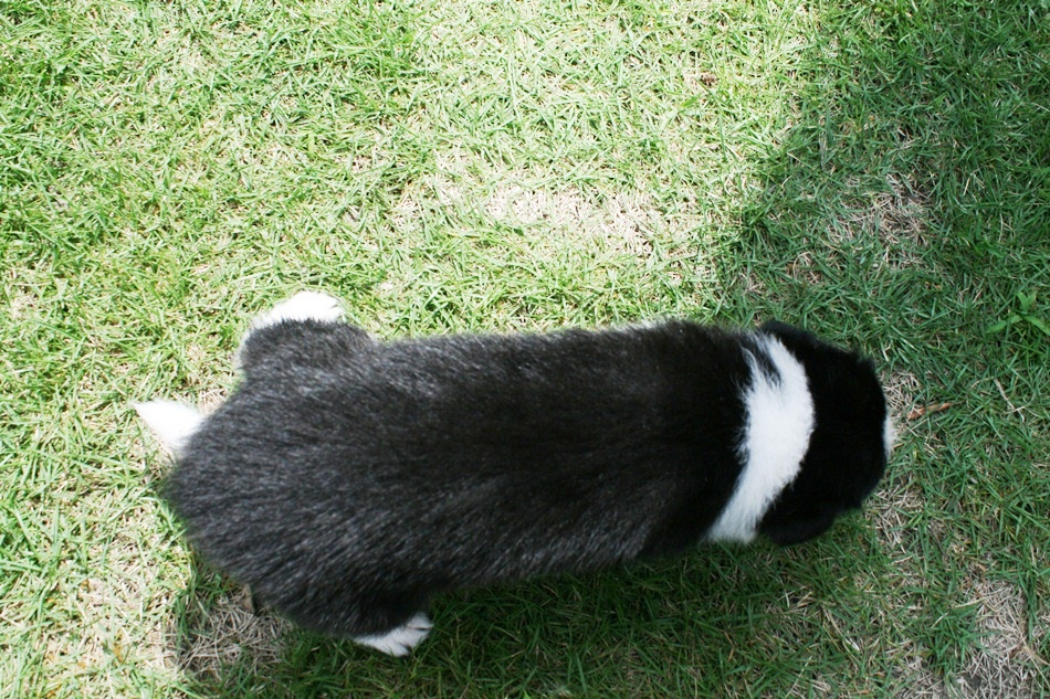 d0077740_1757559.jpg