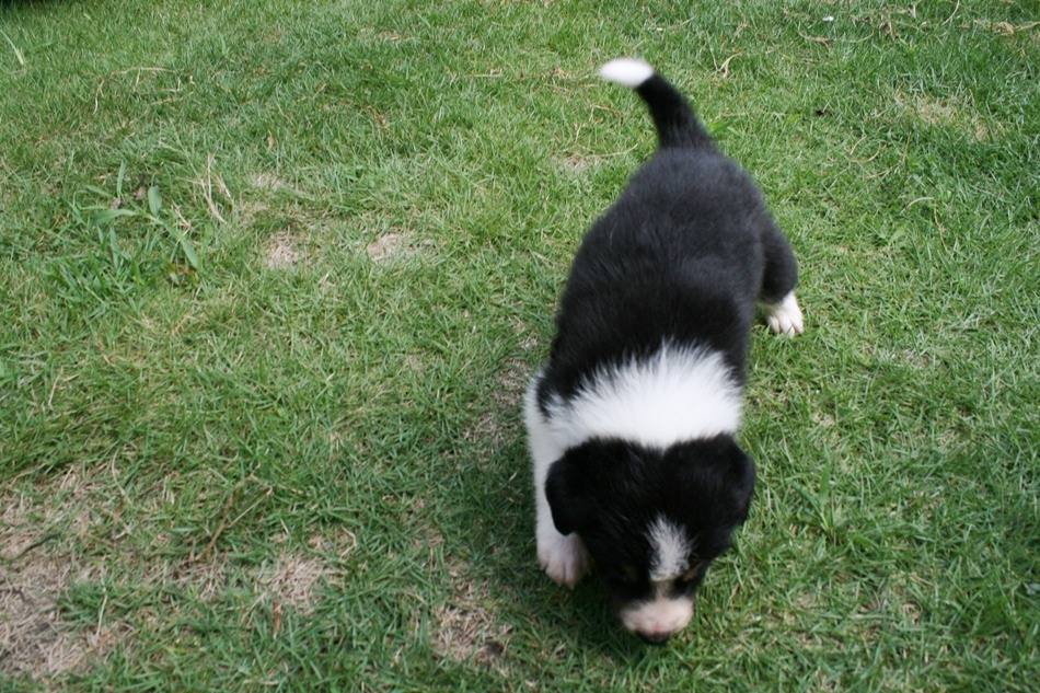 d0077740_22112716.jpg