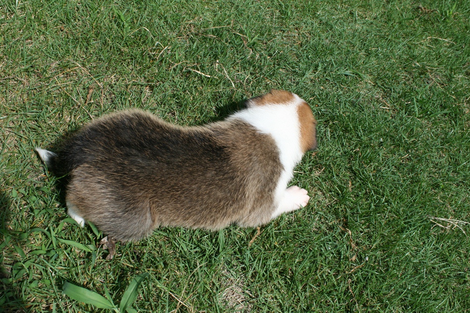 d0077740_226326.jpg