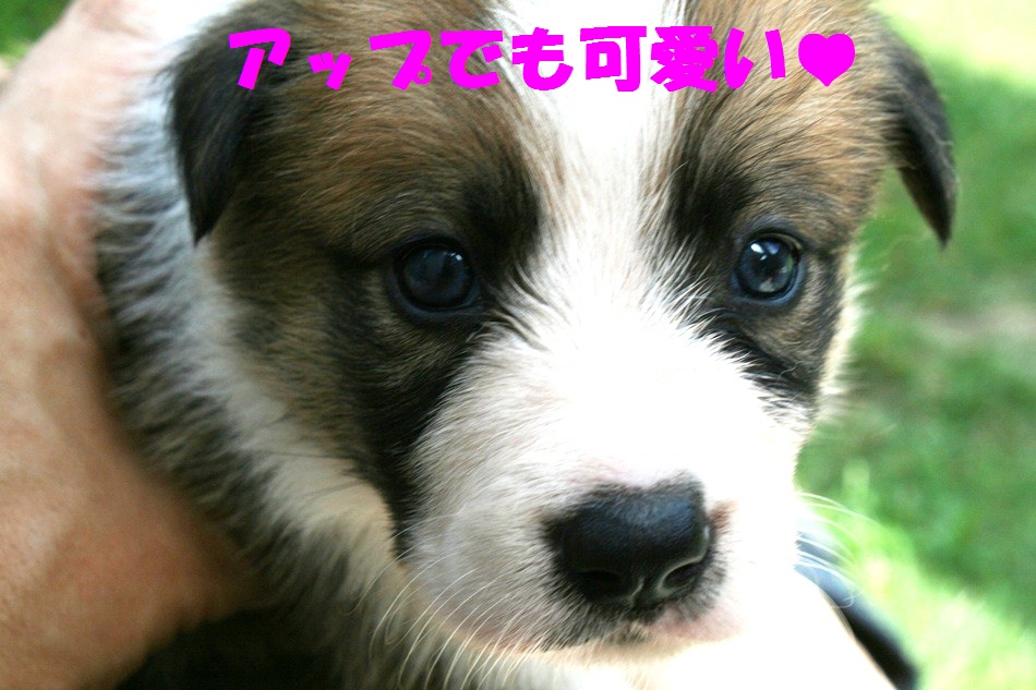 d0077740_2271650.jpg