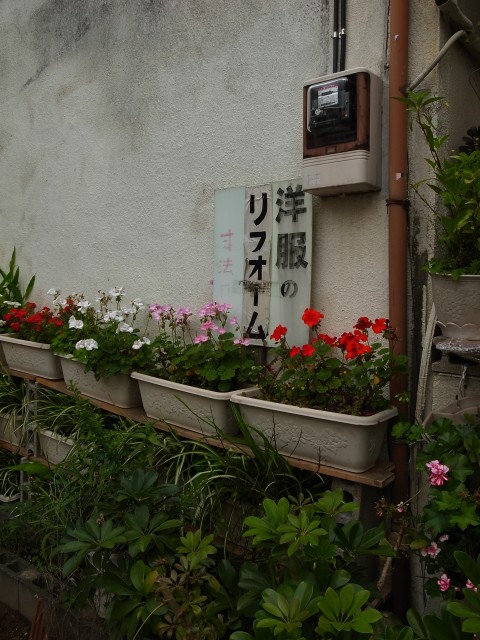a0087341_213228.jpg
