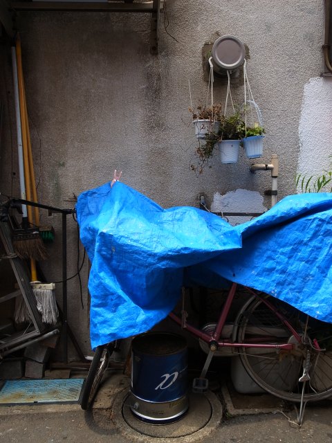 a0087341_21372550.jpg