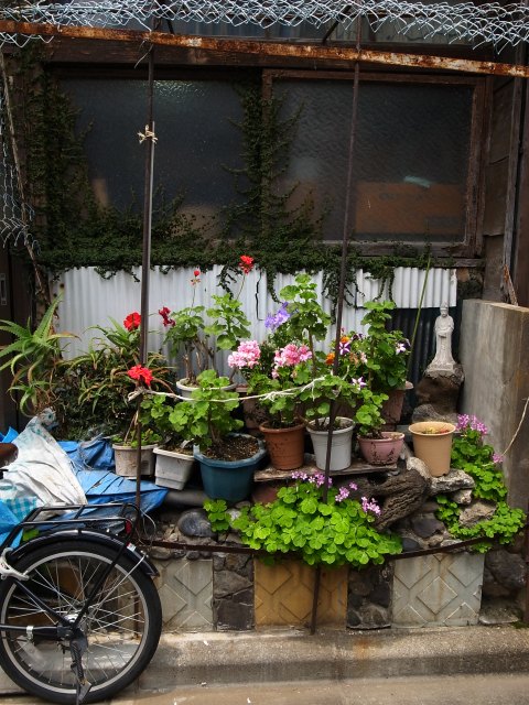 a0087341_21395136.jpg