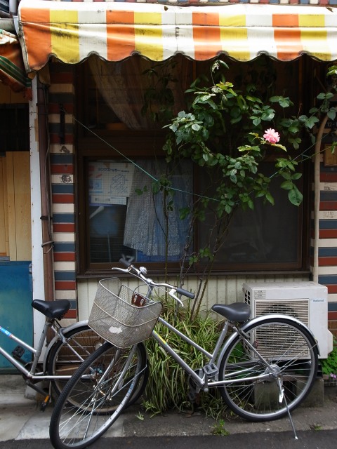 a0087341_2140230.jpg