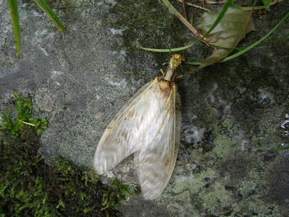 e0202845_155446.jpg