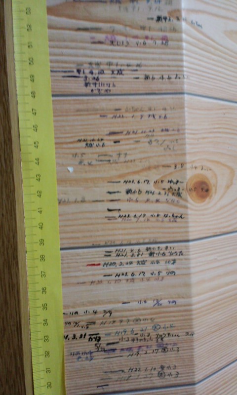 c0089446_8153956.jpg
