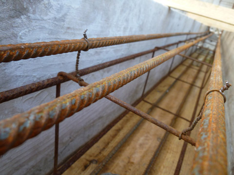 b0069848_6114931.jpg