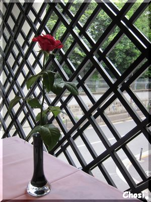 c0004750_171272.jpg