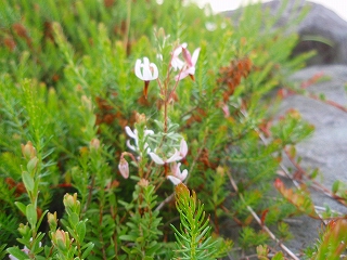 e0004756_96351.jpg