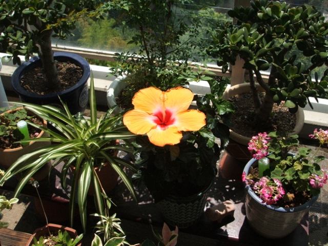 d0107660_2229659.jpg
