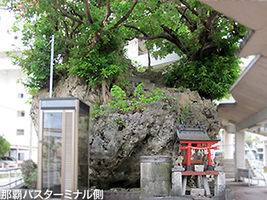 c0167961_3565184.jpg