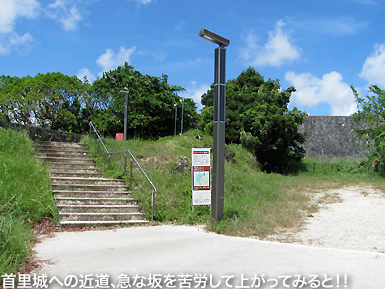 c0167961_3573449.jpg