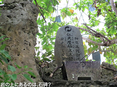 c0167961_357570.jpg