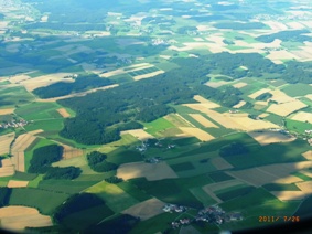 e0195766_291023.jpg